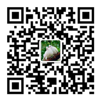 除塵設(shè)備_脫硝脫硫設(shè)備_污水處理_煙氣粉塵治理_唐山鉑銳環(huán)?？萍加邢薰?/></div>
      <!--二維碼結(jié)束-->
      <div   id=