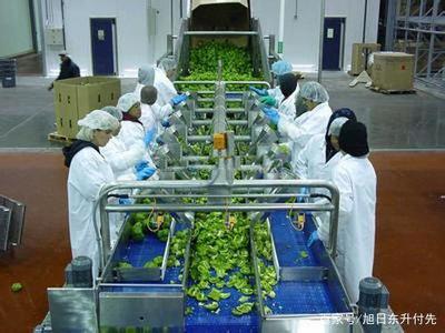 300萬資金在鄉(xiāng)村 初級(jí)農(nóng)產(chǎn)品投資項(xiàng)目的策略與機(jī)遇