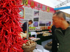 銅川2018扶貧產(chǎn)品交易會 初級農(nóng)產(chǎn)品精品薈萃，看點(diǎn)亮眼搶先揭秘