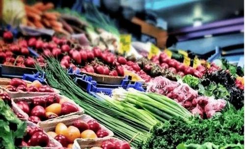 瓊州海峽對岸傳來利好 初級農(nóng)產(chǎn)品發(fā)展迎來新機(jī)遇